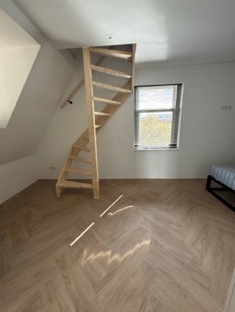 IMG_9043 2 Medium.jpeg